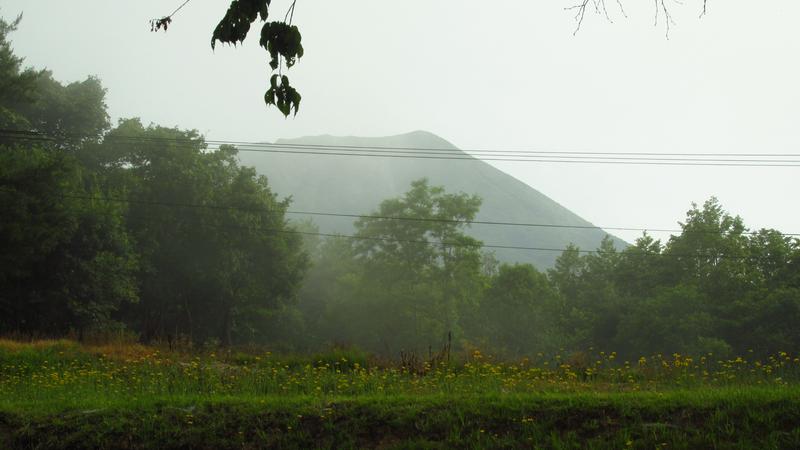 IMG-0930