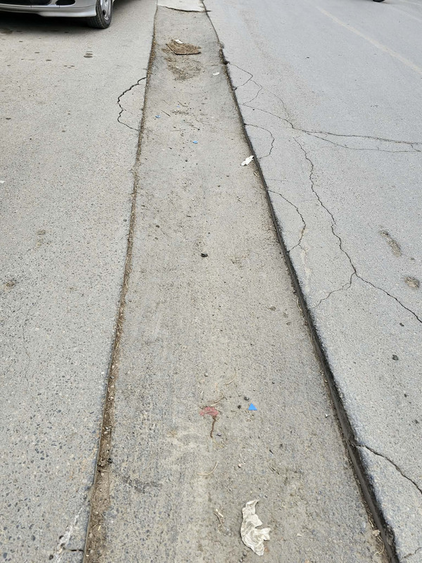 642781529-1489760962508376-5210011910760015320-n