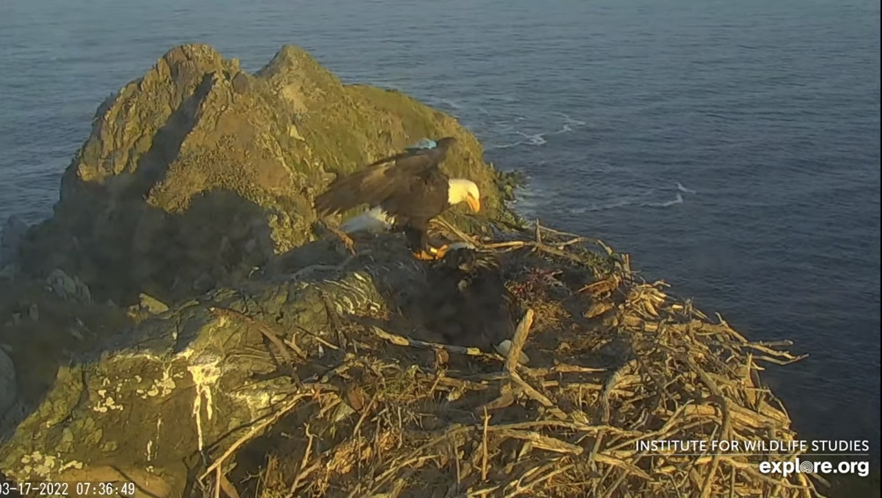 1C3EB39A-D134-4233-A892-3C8063DE1408