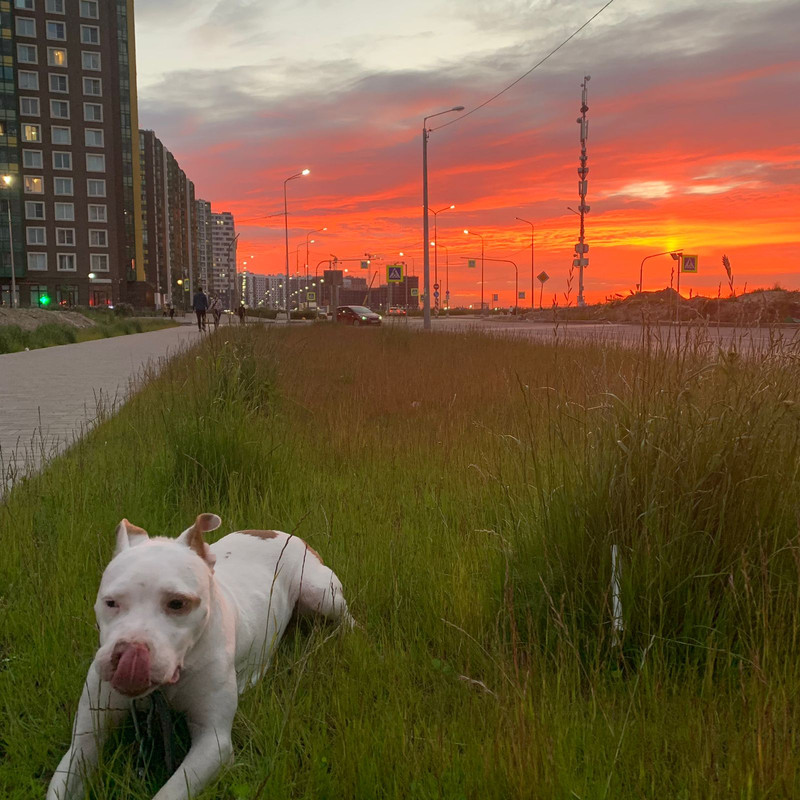 319995C9-3C6F-415B-A479-AAB0D62F9873