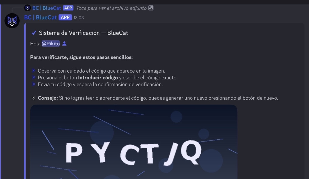Verificación