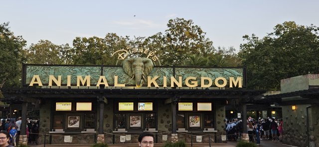 ANIMAL KINGDOM Y HOLLYWOOD STUDIOS - Semana Blanca en Disney World 24/02/24 - 02/03/24 (4)