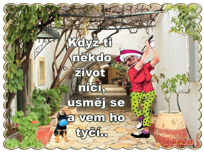 705-528-kopie