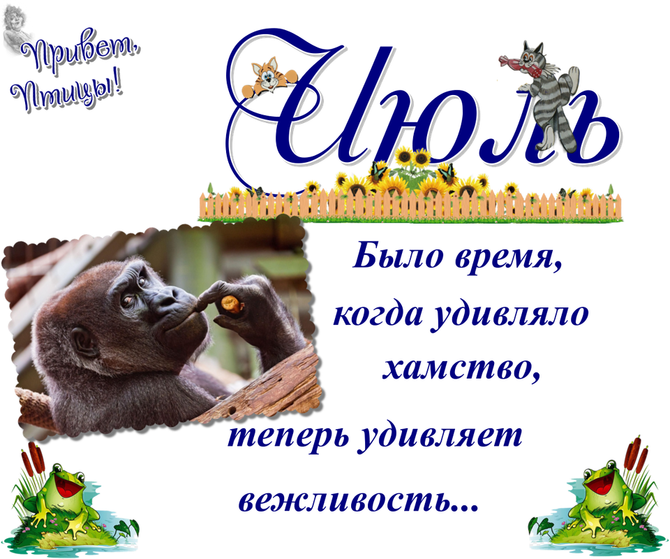 https://i.postimg.cc/8zKsQJP1/26-07.png