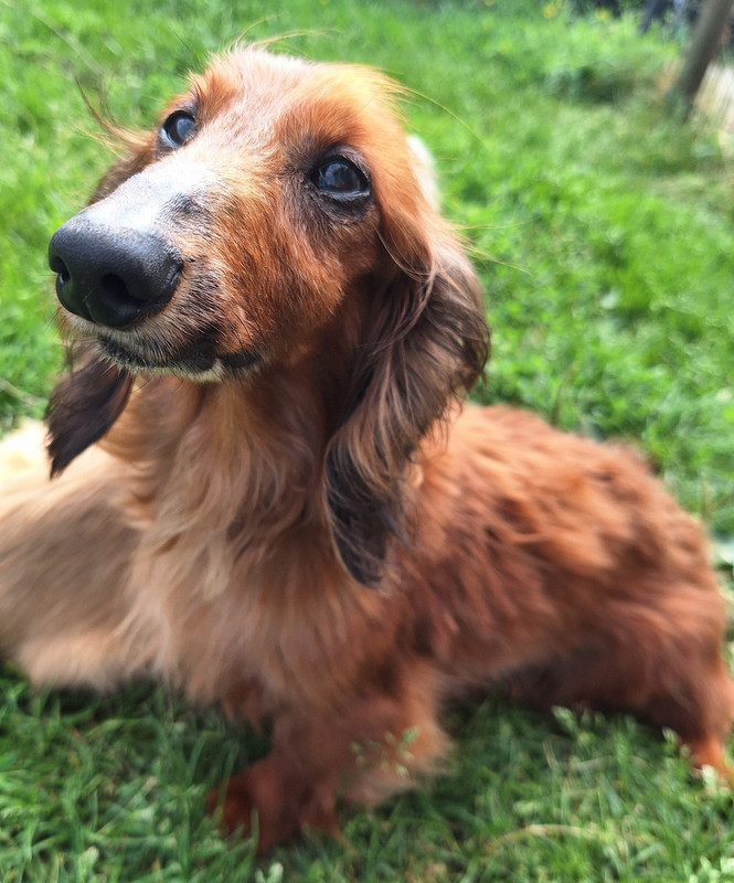 [Image: 20240722-111604.jpg]