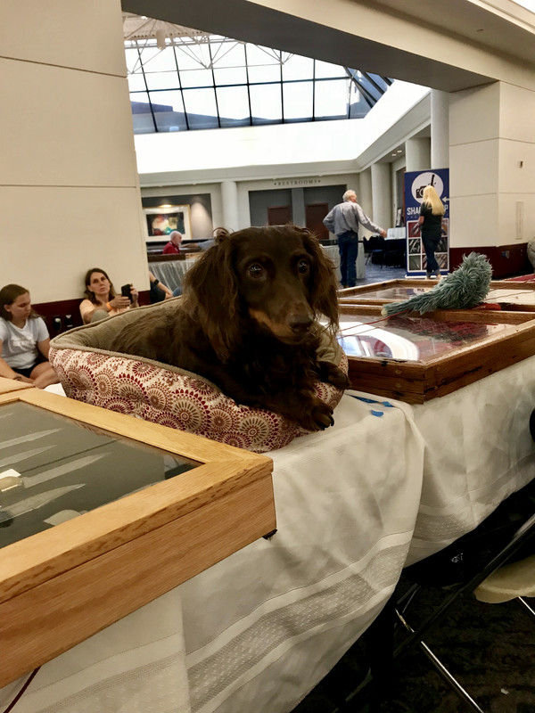 E5D3B5C6-BB96-4959-B0E8-D59E1010B99A