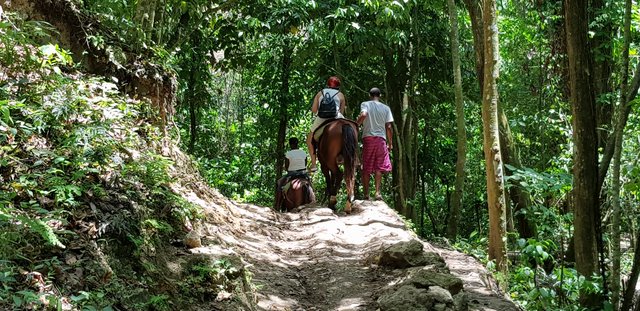 DIA 4 - EXCURSION A SAMANA, CASCADA DEL LIMON E ISLA BACARDI - Hotel Grand Sirenis Punta Cana + Samana + Cortecito (71)