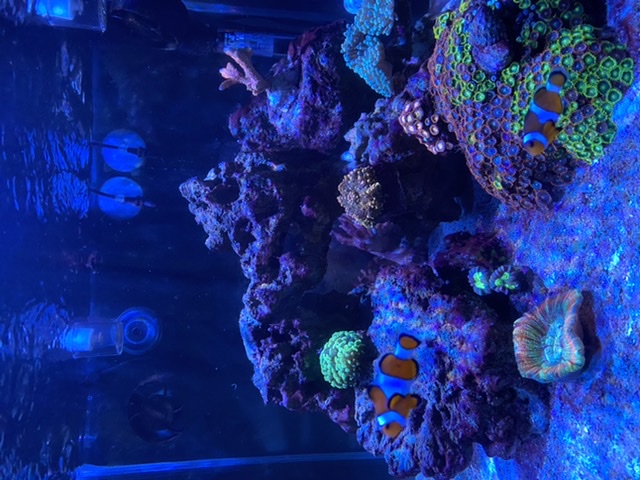 CC6ECA8B-85C8-4CC6-8F1B-B308ECBF45A8