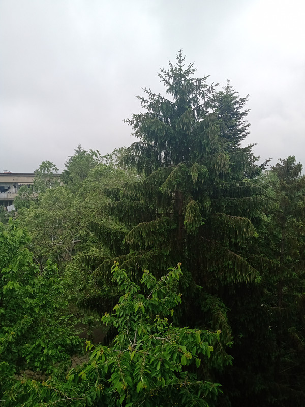 IMG_20230528_093337037