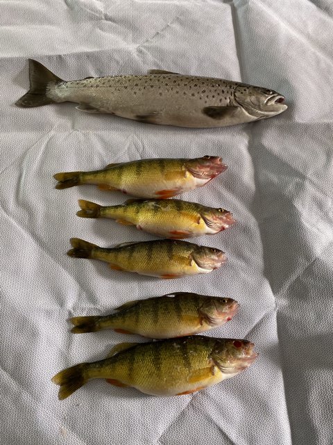 E12040E4-E787-4BCB-9B1D-511CDCECFF5A