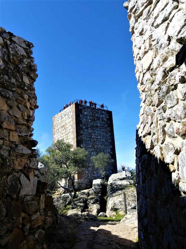 PARQUE NACIONAL DE MONFRAGÜE-2020/2023 - EXTREMADURA Y SUS PUEBLOS -2010-2023 (63)