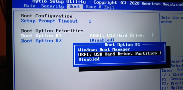 bios4