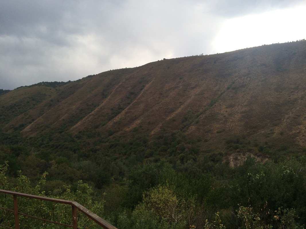 06651E98-B4FB-4AC6-A9B7-84D4068F3745