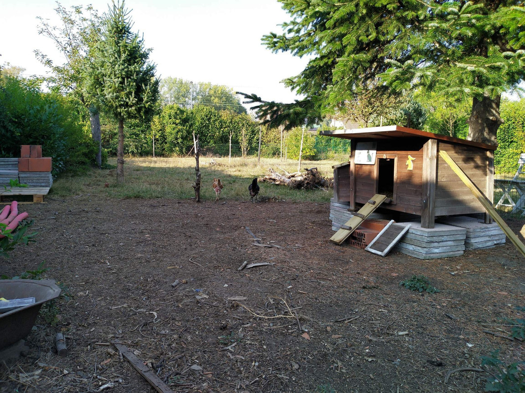 received_761914771324561