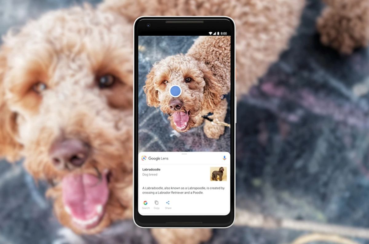 come cercare immagini google lens cellulare