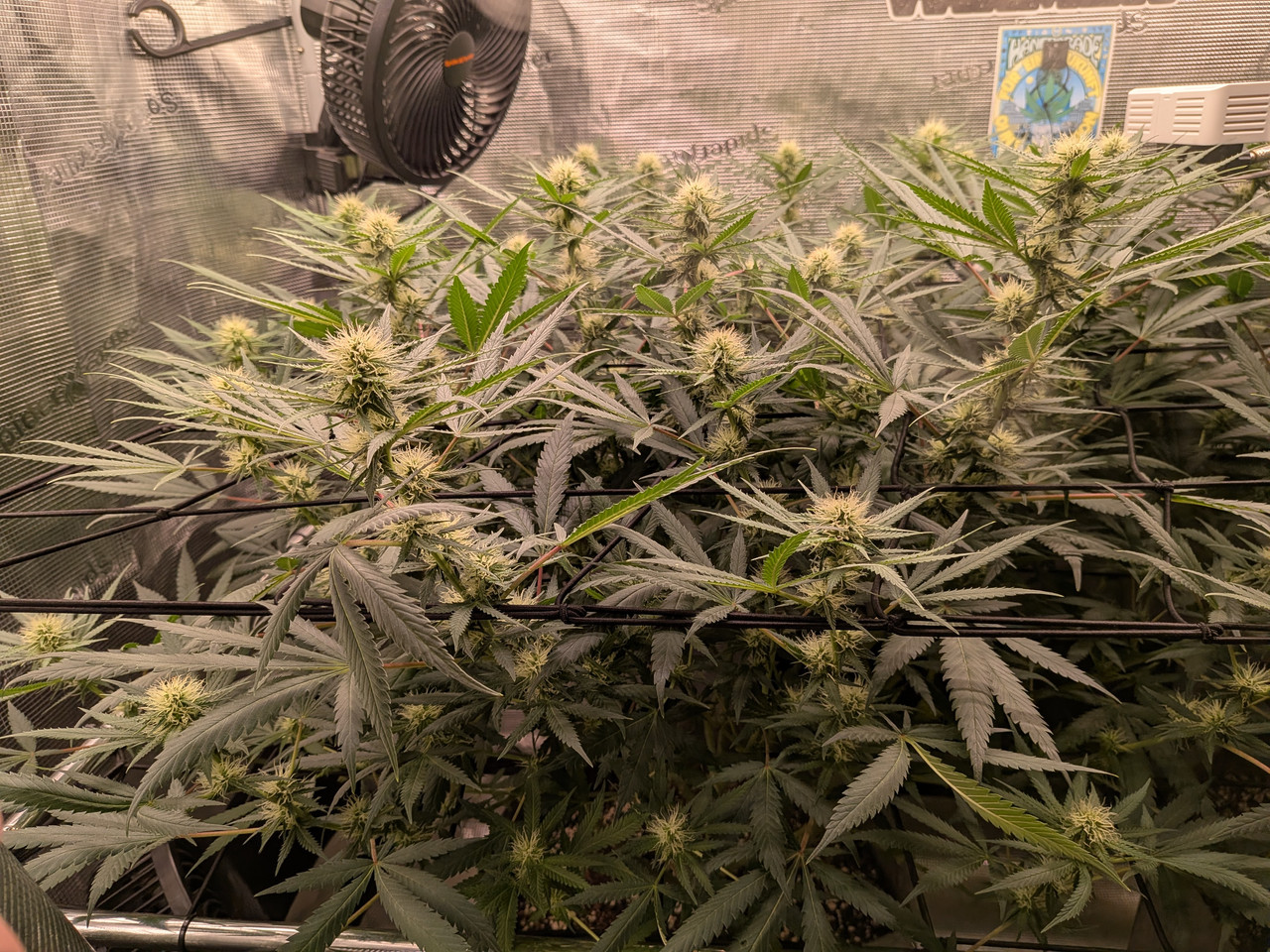 PXL 20260805 135043438