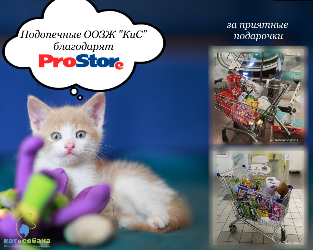     ProStore  Purina