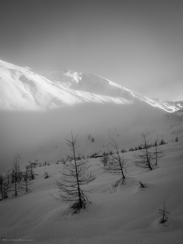 DSCF0559