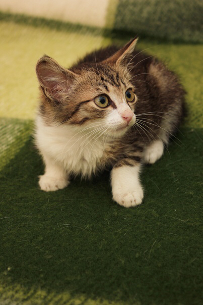 IMG-2e9e3af050dbbd53665d04306ac28b08-V