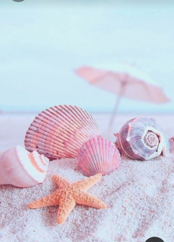 Screenshot_20230611_220655_Pinterest