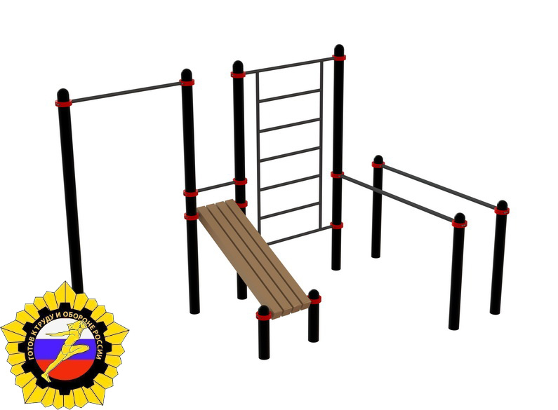 тренажер_для_Воркаут_и_ГТО_(PAW-60)