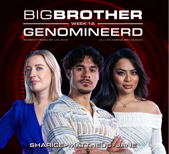 Schermafbeelding-2025-03-26-114155.png