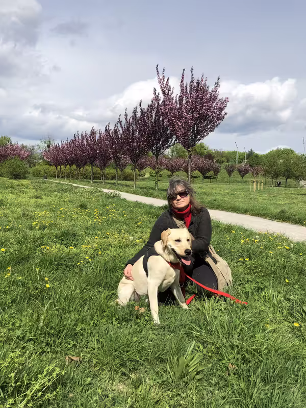 D7E339BD-28DA-471D-B9A0-882D8E250455