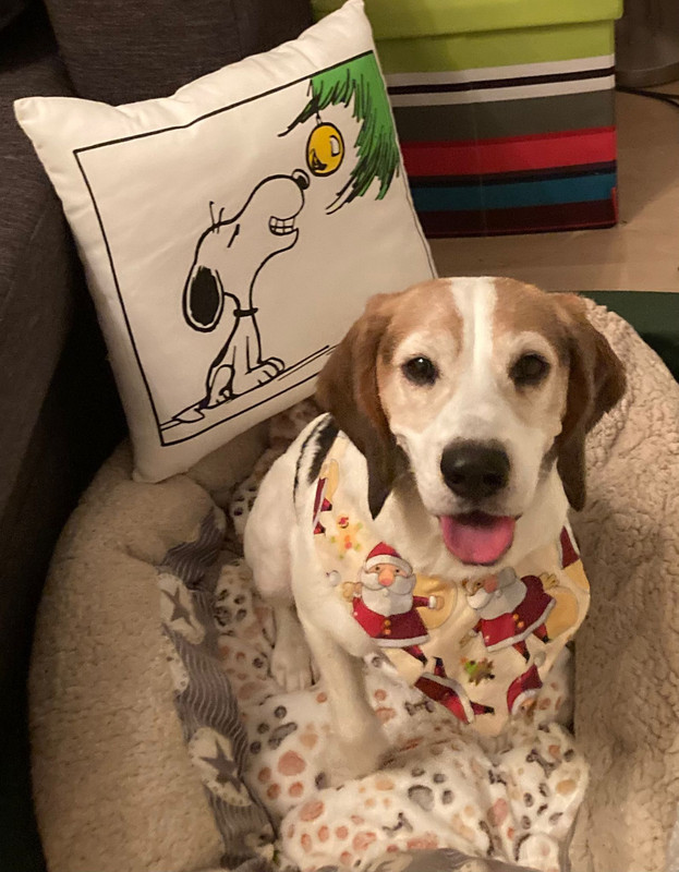 1c7a35d3-3b4f-47d5-be7d-9f60238462fc