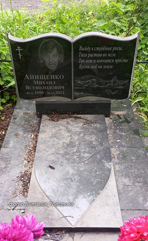 anishenko-mihail1