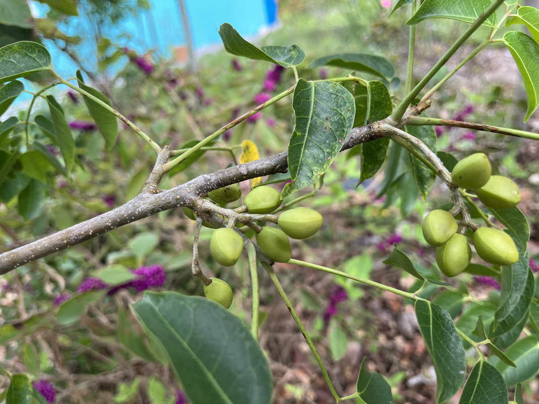 B98191E2-5F45-46B0-8B2F-02170432D84D