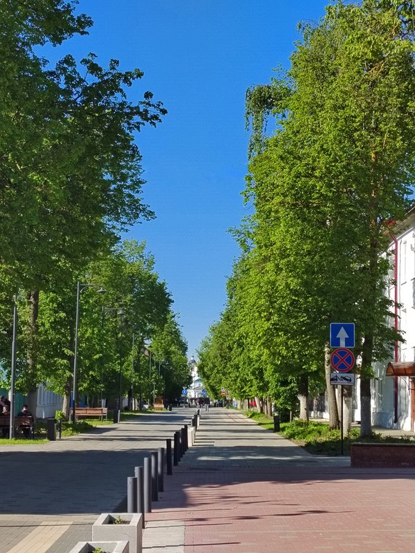 https://i.postimg.cc/8zNqGJfS/77-IMG-20240525-073650.jpg