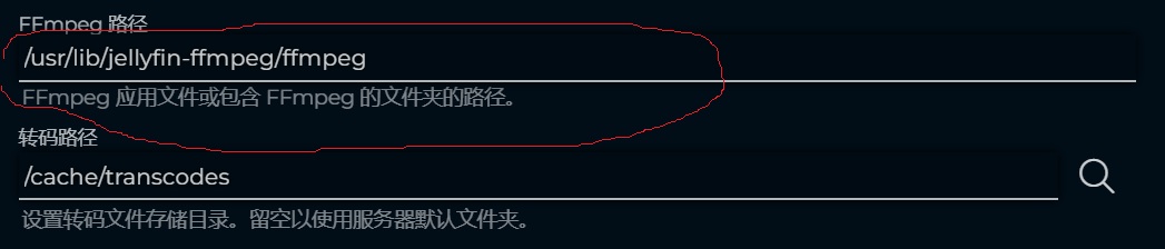 jellyfin播放问题