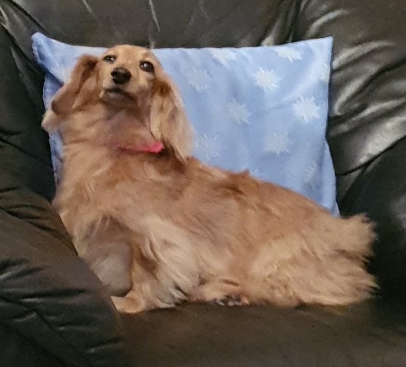 [Image: 20211219-210254.jpg]