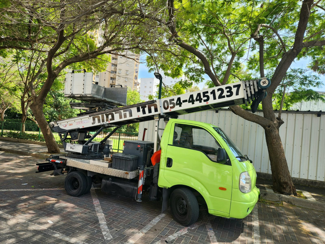 תמונה 2