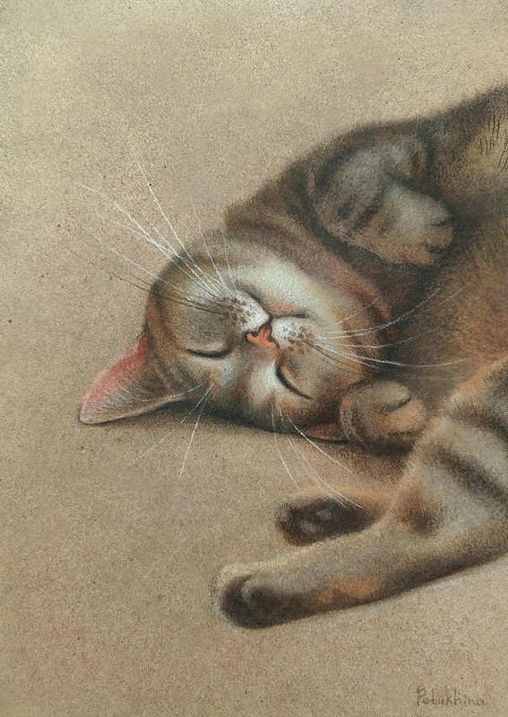 19