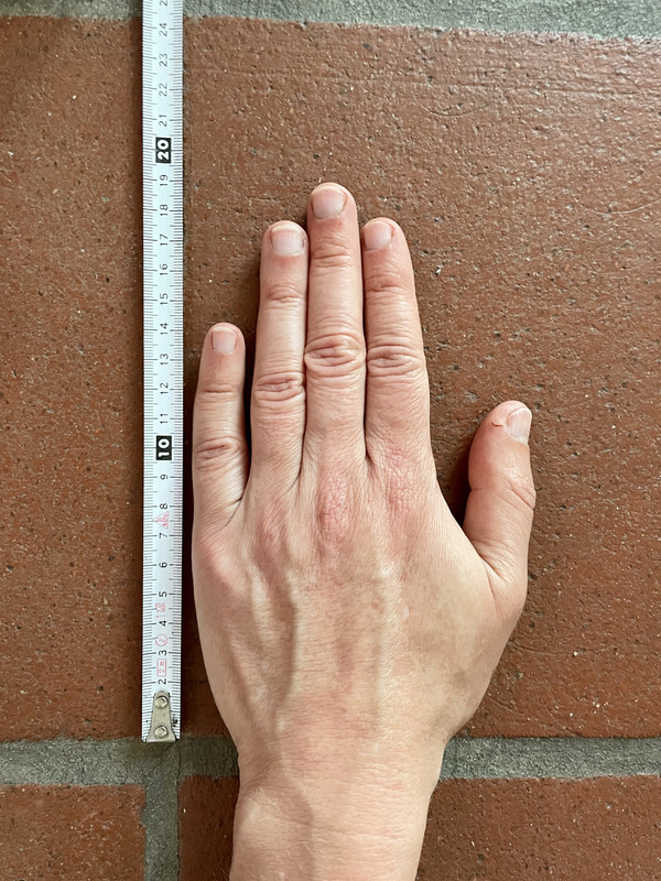 33FDCAB9-EF2C-4158-9938-767450B42295