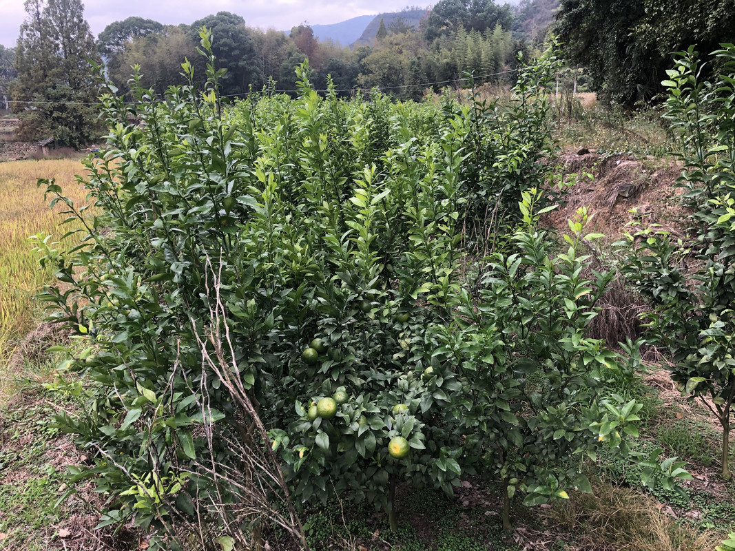 微信图片_20241030153355