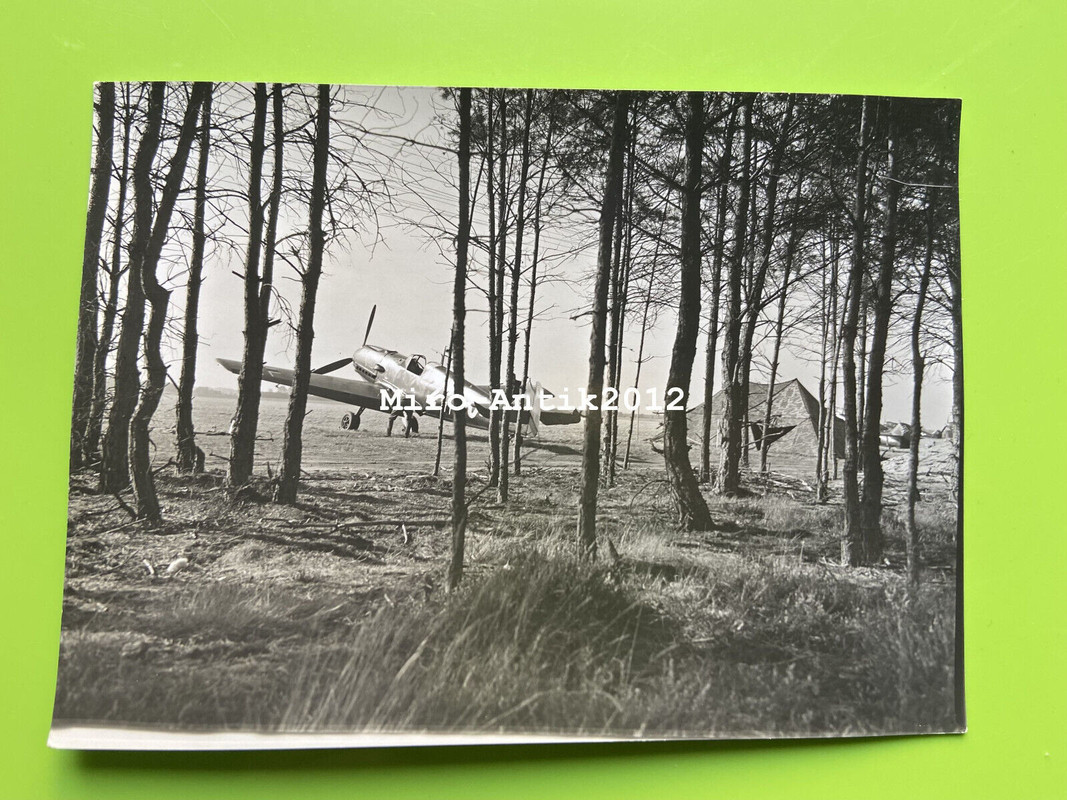 Gross Foto, O.K.W., Messerschmitt Bf 109 in Tarnfarbe (N)50720