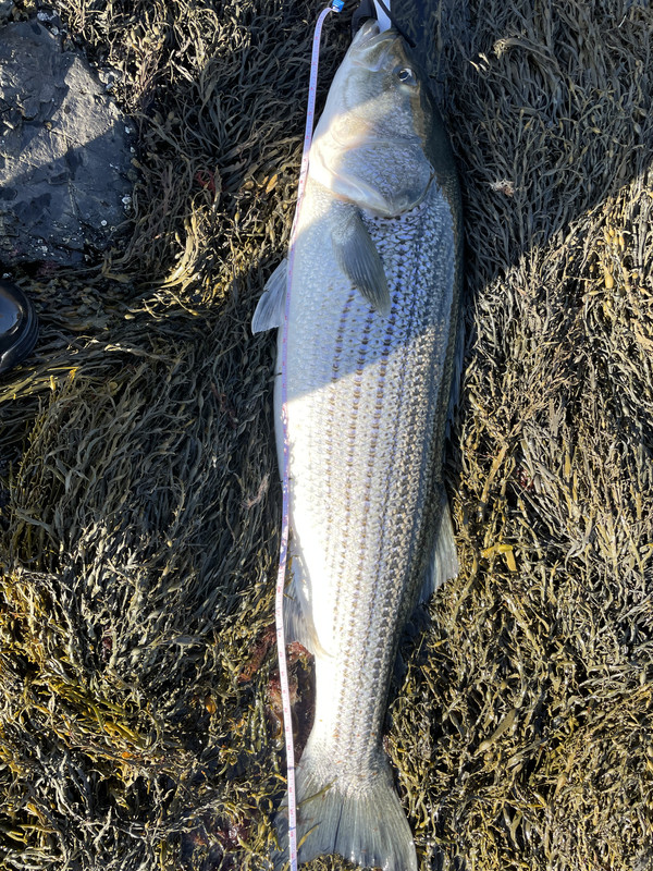 8ECD9052-4037-4A90-AC16-1E8752A3EFBE