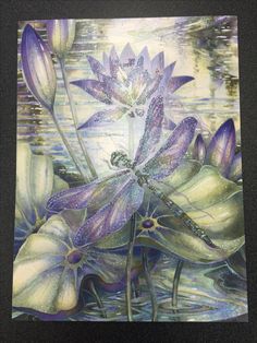 d21b13538fc62e0c6b1cb8fb2a97a03a-dragonflies-butterflies
