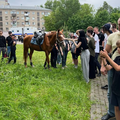 День открытых дверей УМВД