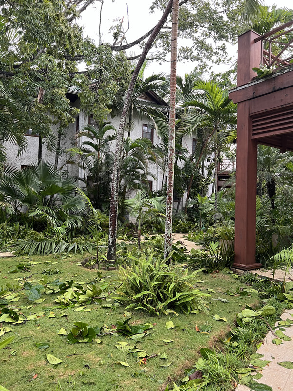 A5EFEF3D-5D7D-4D84-8597-FD69EAE48208