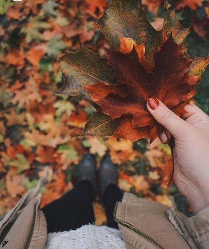 Screenshot_20230103_231645_Chrome