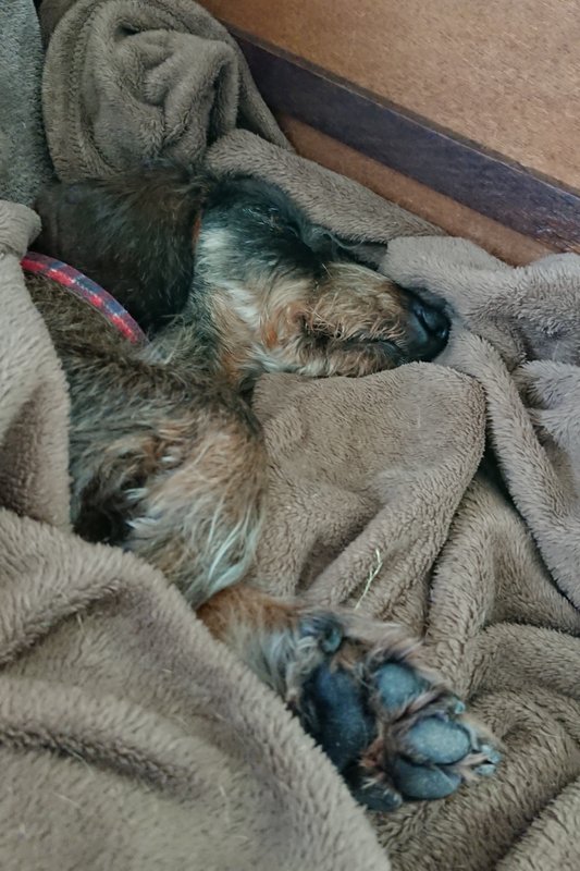 [Image: 20240612-150846.jpg]