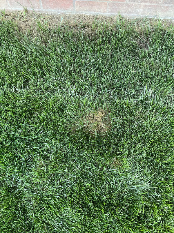 D894A5E2-4CA4-4A52-8E84-F28730243FDA