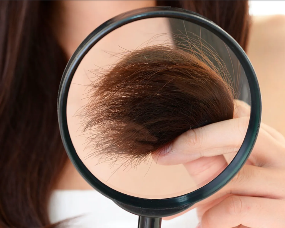 ¿Qué necesita un cabello con baja porosidad?