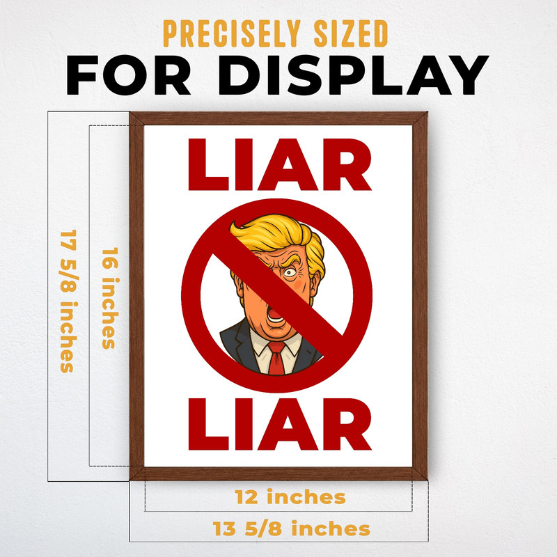 (IP000970C) Liar