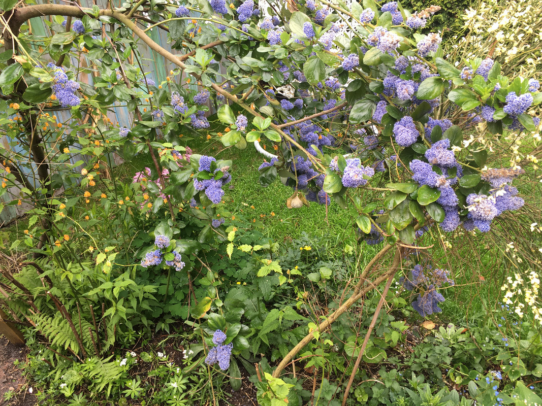 0A2554AB-AAED-491F-B099-4E43D900DC5F