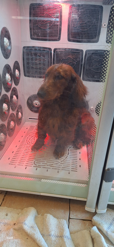 [Image: 20250305-161251.jpg]