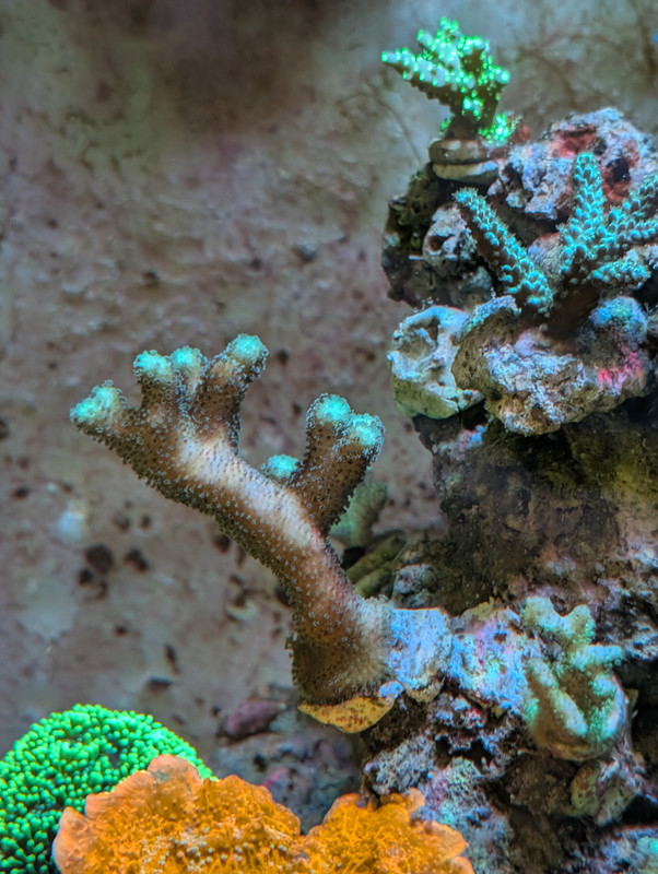 PXL 20260226 201543942 MP